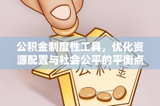 达仁公积金制度性工具，优化资源配置与社会公平的平衡点