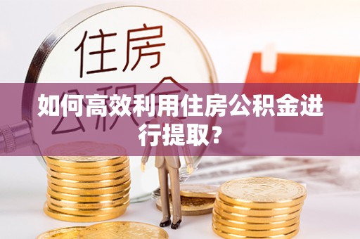 达仁如何高效利用住房公积金进行提取？