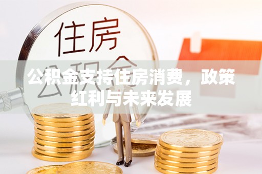 达仁公积金支持住房消费，政策红利与未来发展