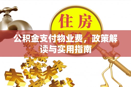 达仁公积金支付物业费，政策解读与实用指南